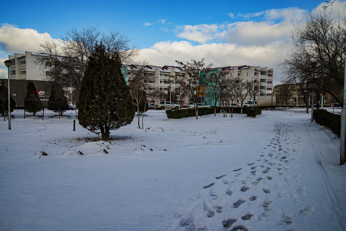 Зима - Анатолий Чикчирный