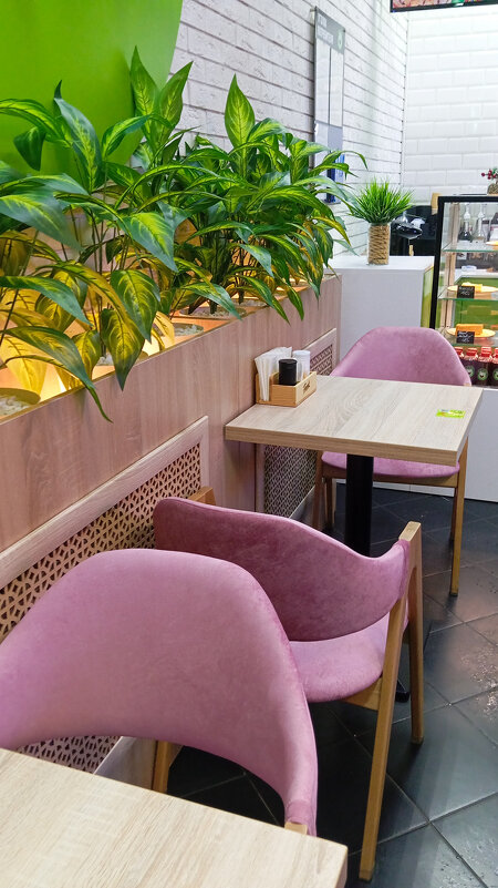 Кафе феник - Светлана Мишенёва Кафе феник - Светлана Мишенёва