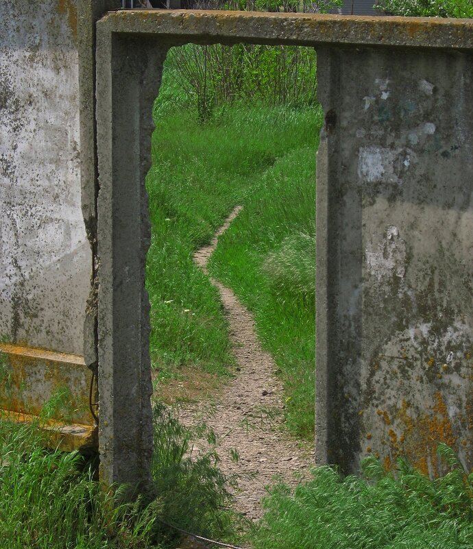 . - Александр Хоменко