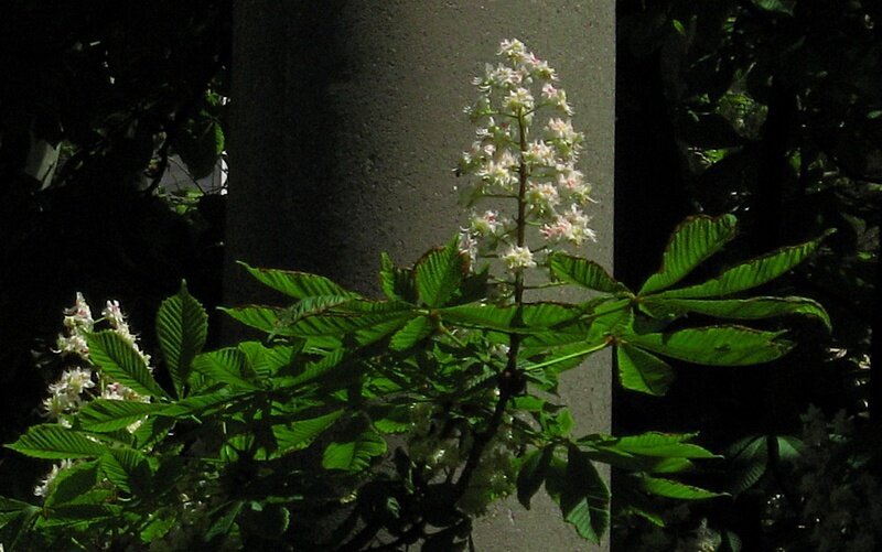 . - Александр Хоменко