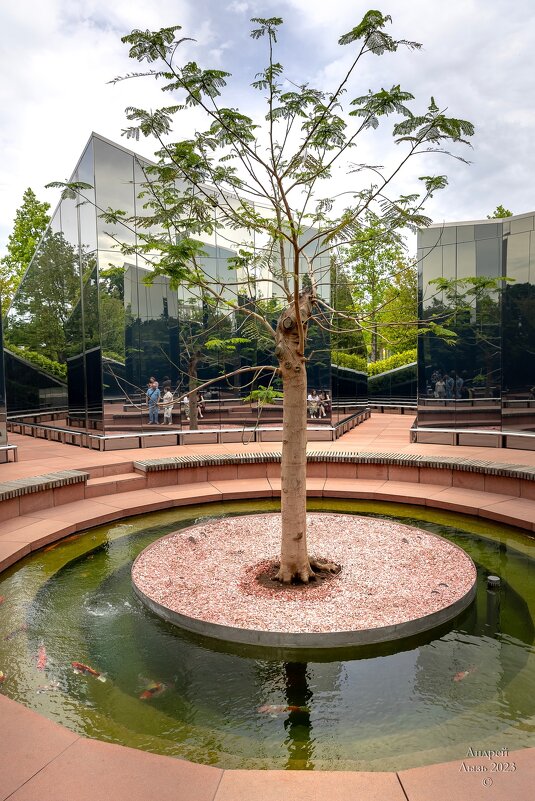 Парк Галицкого. Краснодар - Андрей Lyz