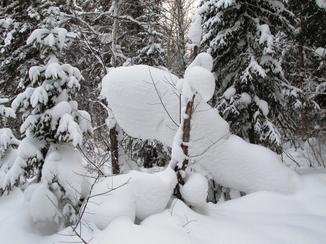 Зимние причуды - Galaelina *** Зимние причуды - Galaelina ***