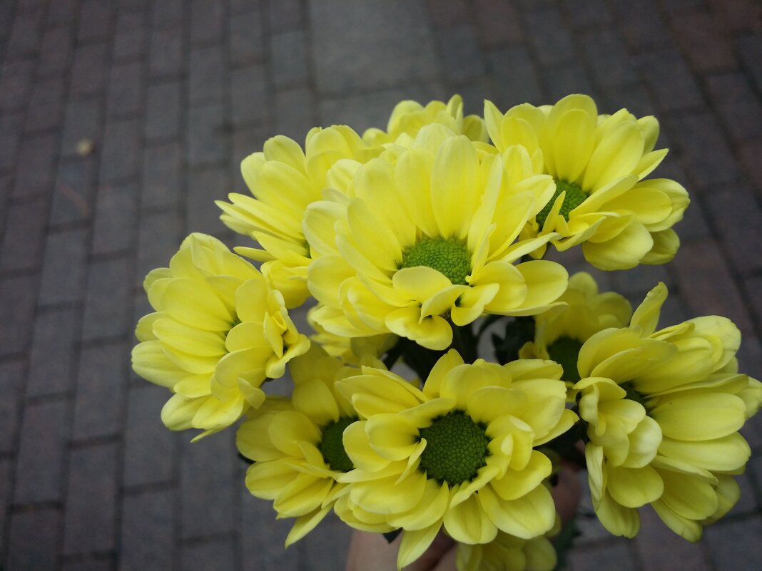 нежность - Наталия Кольцова