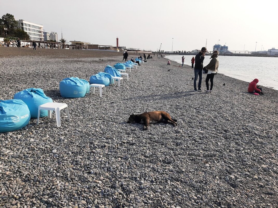 Пляж Ривьера зимой - Tata Wolf