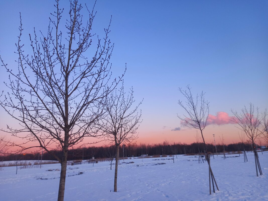 Закат - Сапсан 