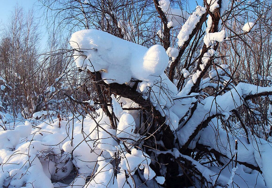 Абстракционизм природы... - Владимир 
