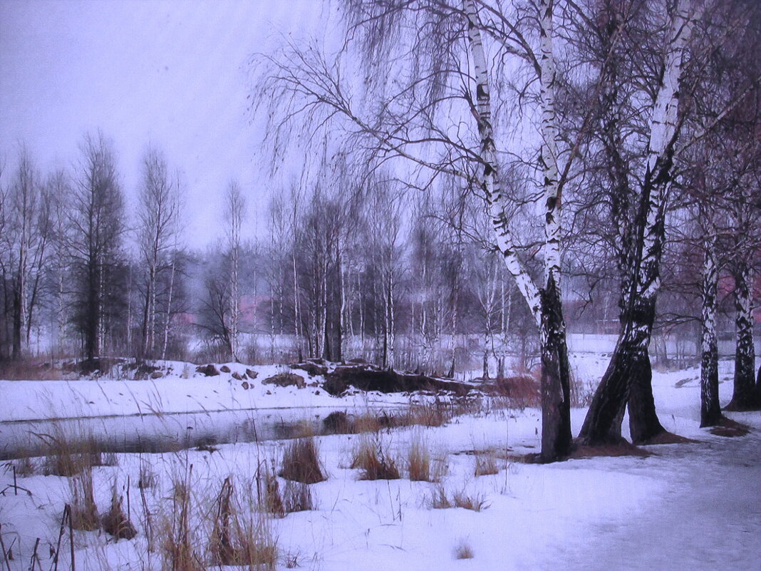 После снегопада - Людмила Смородинская