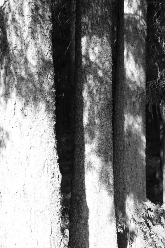 Название отсутствует - Денис Безногов Название отсутствует - Денис Безногов