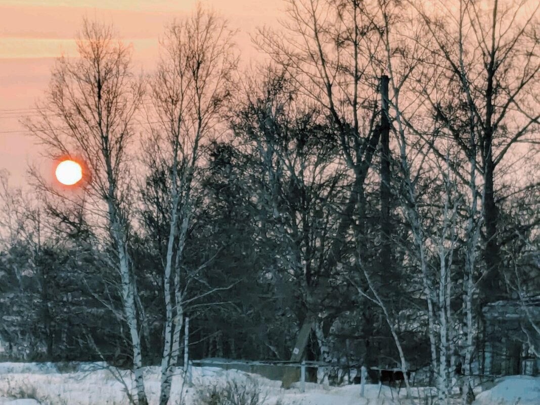 Вечер - Георгиевич 