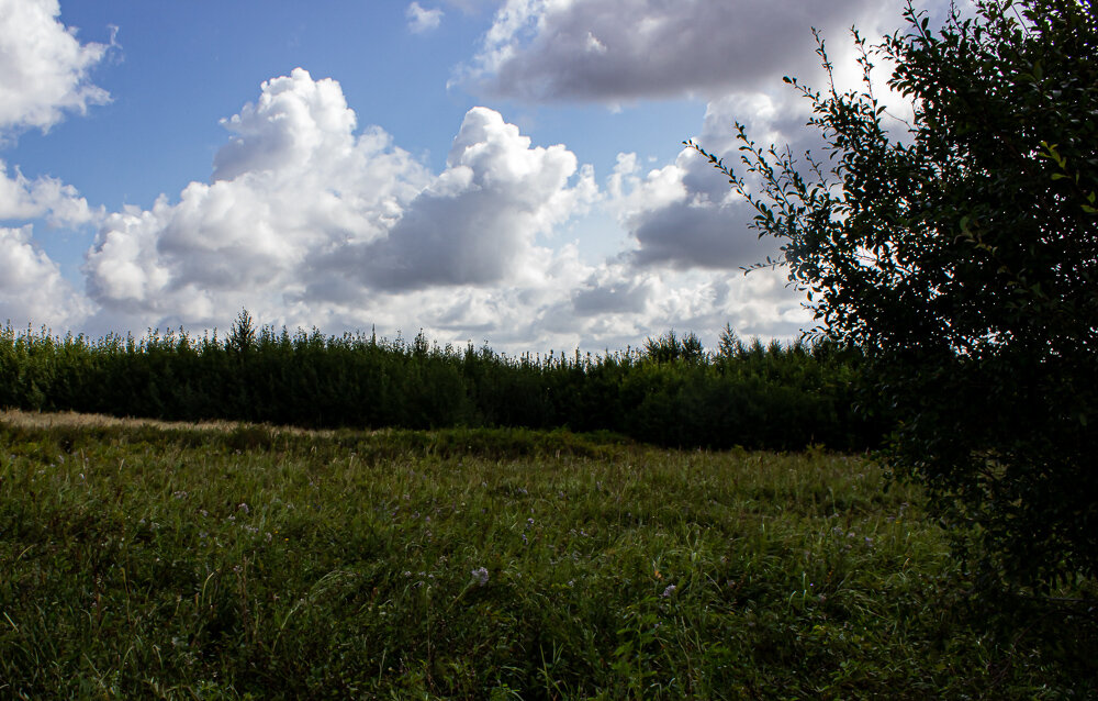 Пейзаж - Светлана SvetNika17