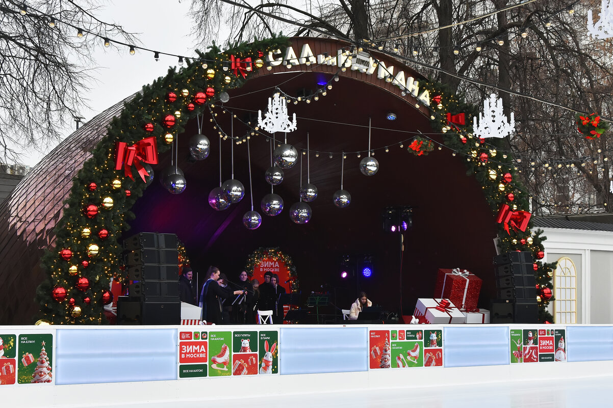 Фестиваль "Зима в Москве". На катке в саду им. Баумана. - Наташа *****
