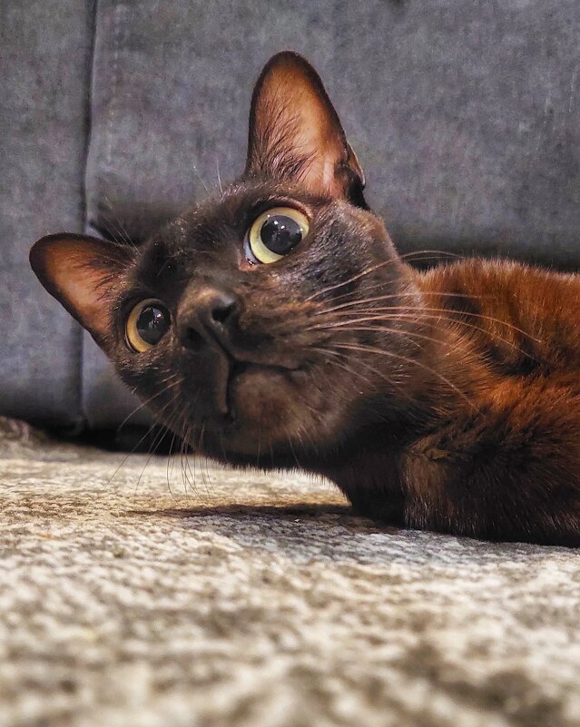 * - Оксана Н.