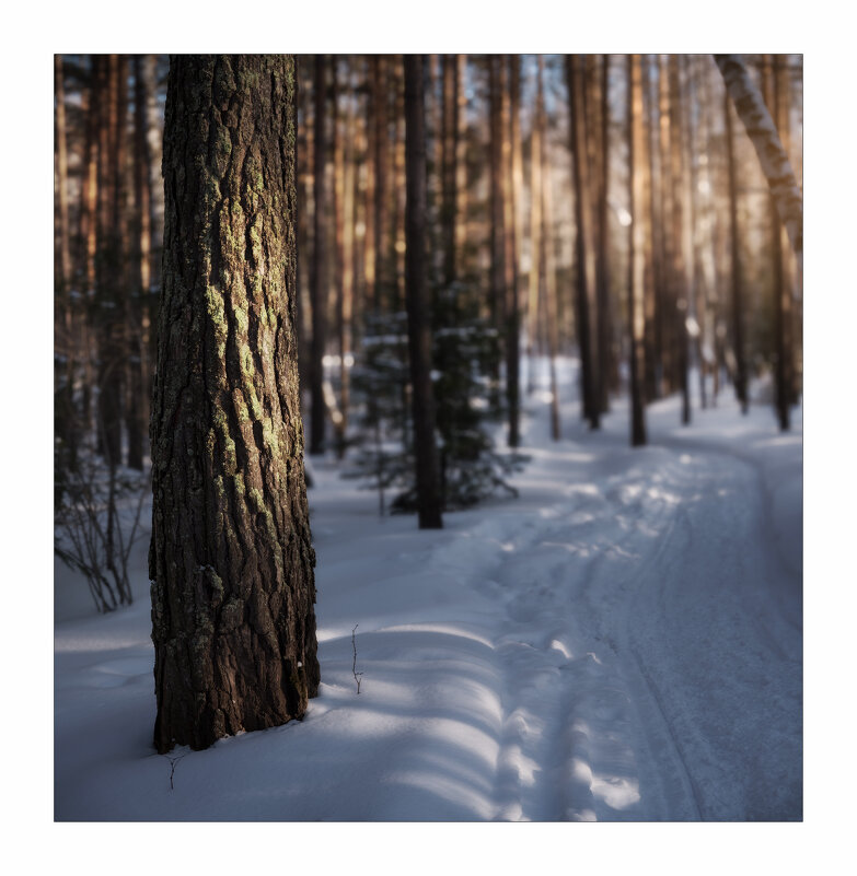 * - Александр Иванов