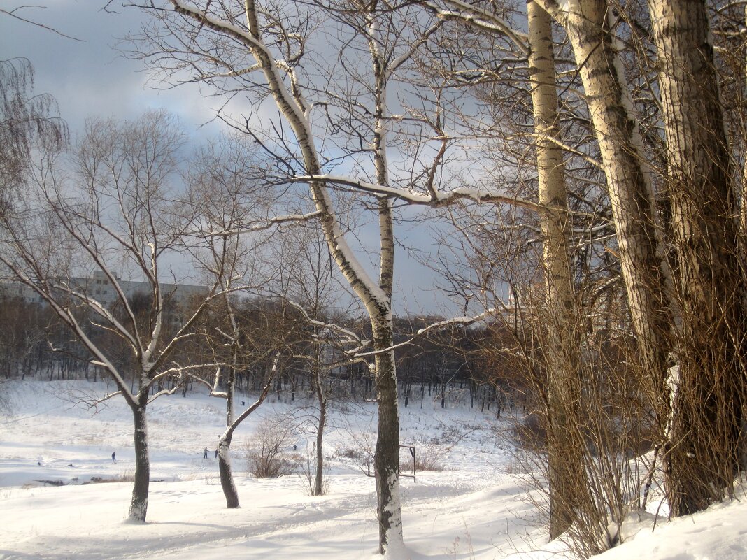 Зимой - Елена Семигина Зимой - Елена Семигина