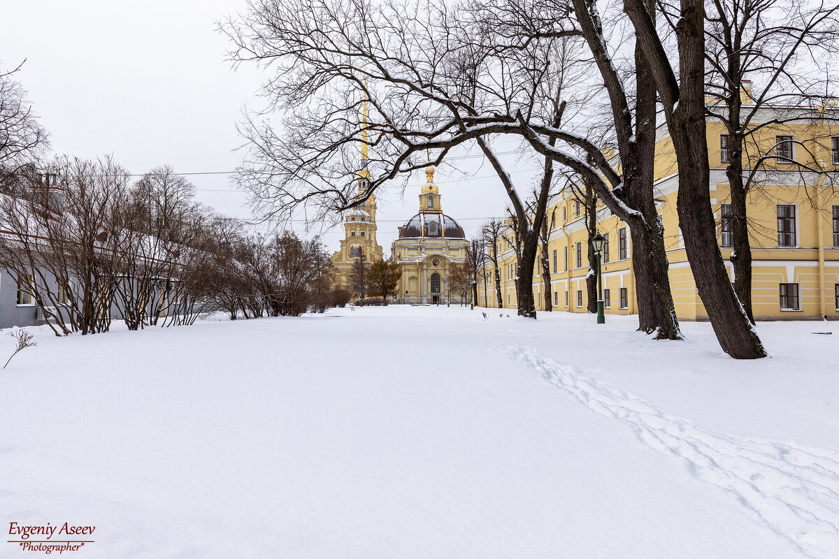 Зима в Петропавловке - Евгений Зима в Петропавловке - Евгений