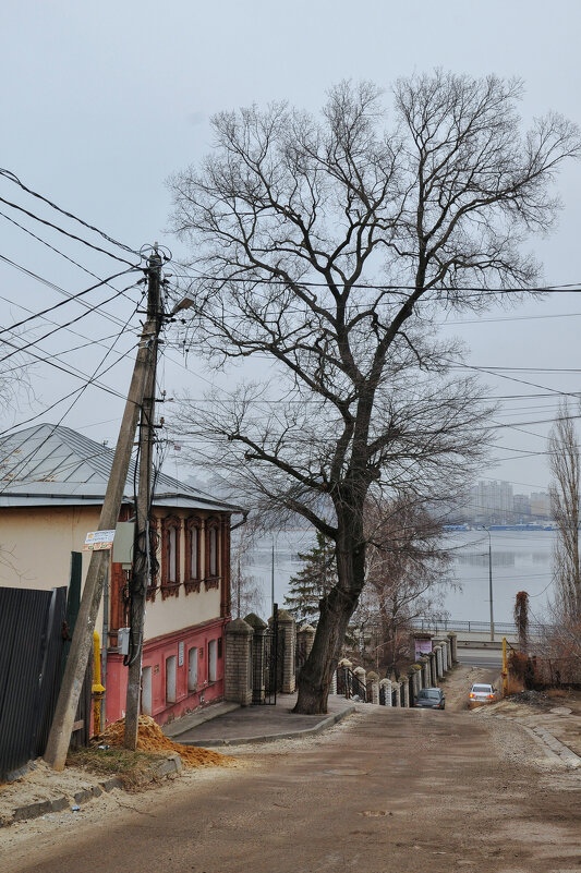Домик с видом на море - Татьяна Машошина Домик с видом на море - Татьяна Машошина