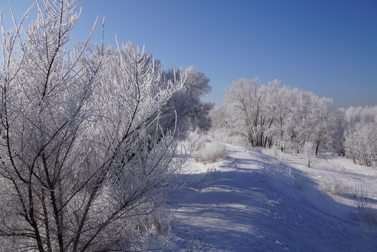 Зимнее - Наталия Григорьева