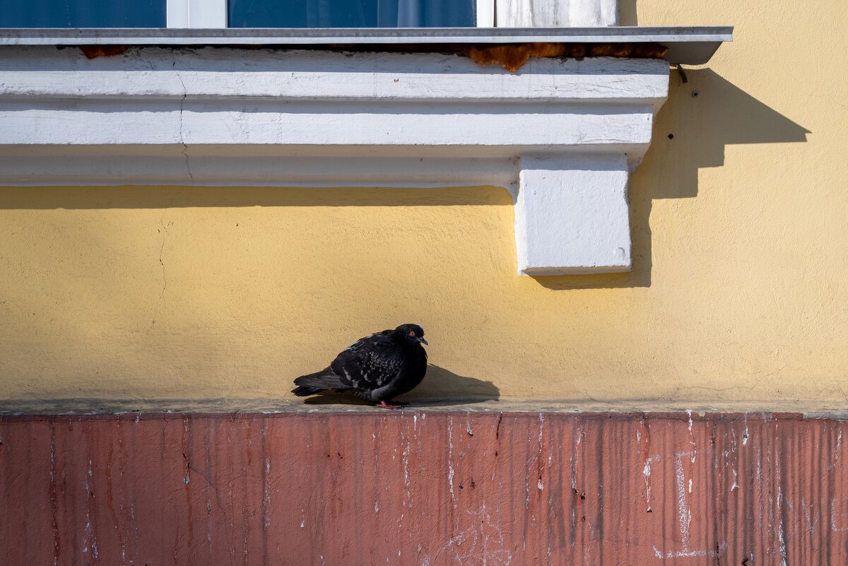 *** - Валерий Михмель *** - Валерий Михмель