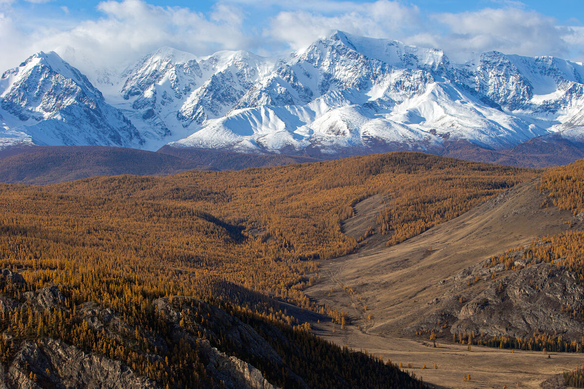 *** - владимир 