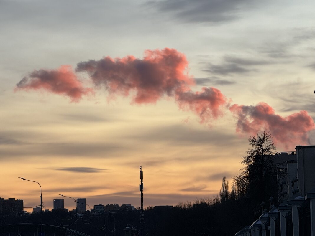 Дракон - Анна Камс