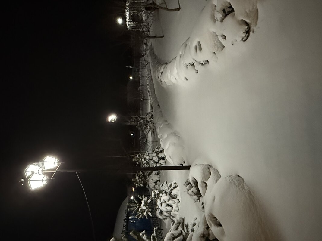 Вечерняя прогулка - Валентина . Вечерняя прогулка - Валентина .