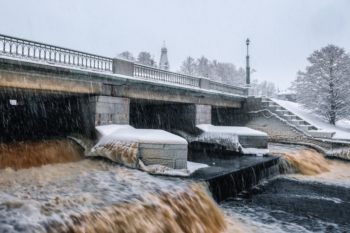 Сестрорецк - Владимир Колесников