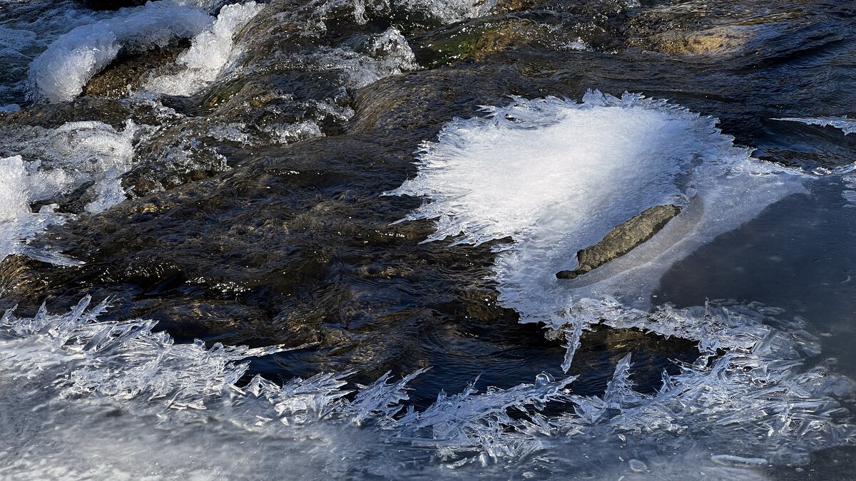 Пришла весна! Журчат ручьи, Светлеет небосвод, И дарит таинство любви, Которое несёт. - "The Natural World" Александер