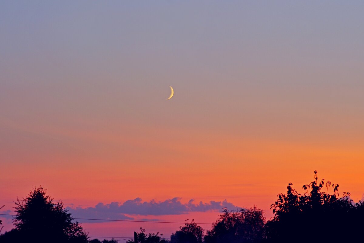 Летний вечер - Сергей Швечков Летний вечер - Сергей Швечков