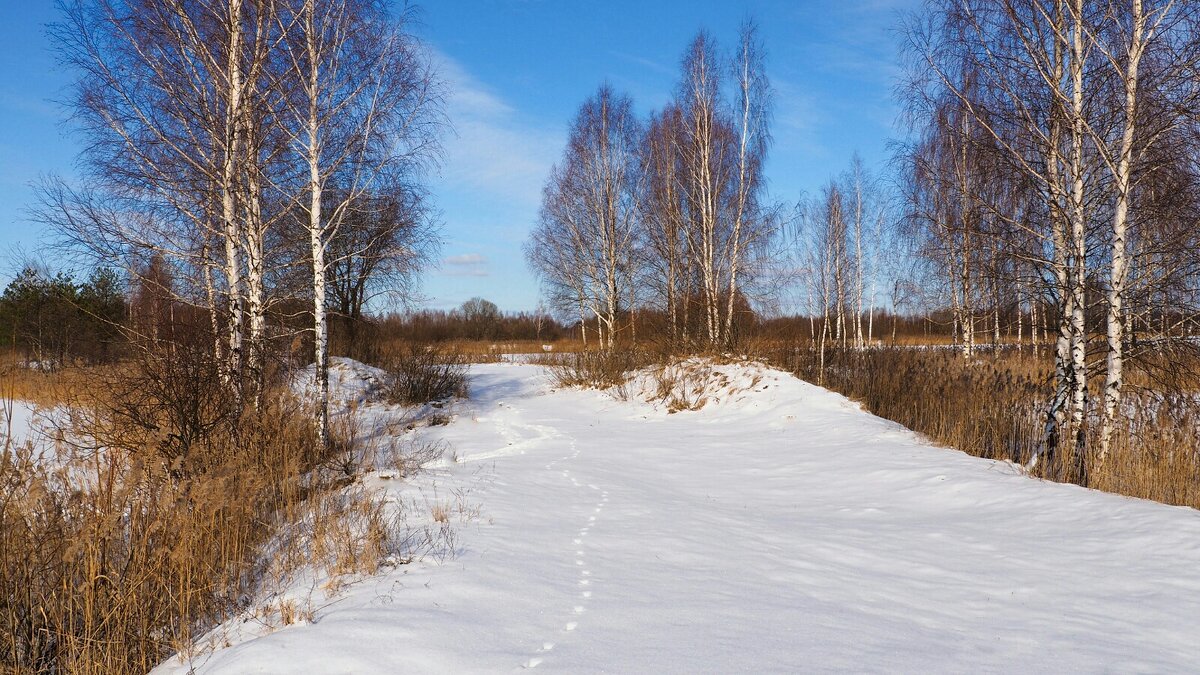 Кто - то наследил. - Милешкин Владимир Алексеевич Кто - то наследил. - Милешкин Владимир Алексеевич