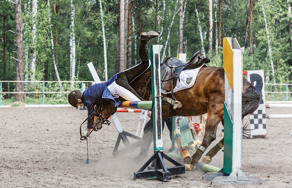 Конкур - SanSan 