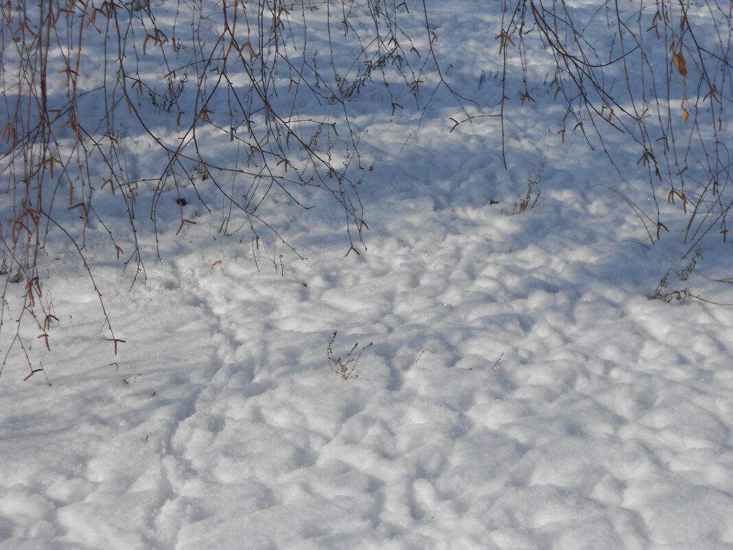 февраль - Елена Шаламова