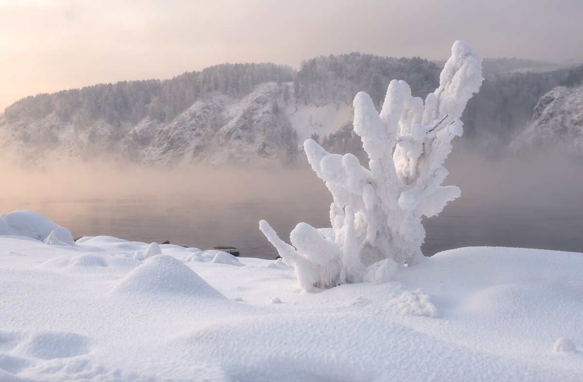 Метаморфозы зимы - Марина Фомина.