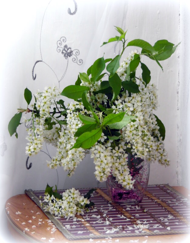 ЧЕРЁМУХА. - nadyasilyuk Вознюк ЧЕРЁМУХА. - nadyasilyuk Вознюк