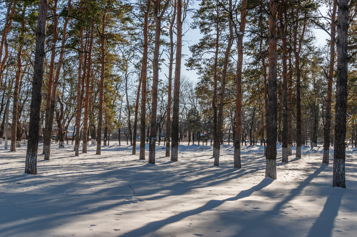 Вчерашний день - Игорь Сикорский Вчерашний день - Игорь Сикорский