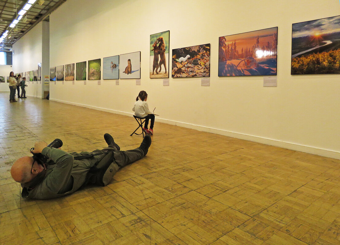 На фестивале природы «Первозданная Россия» - ИРЭН@ . На фестивале природы «Первозданная Россия» - ИРЭН@ .