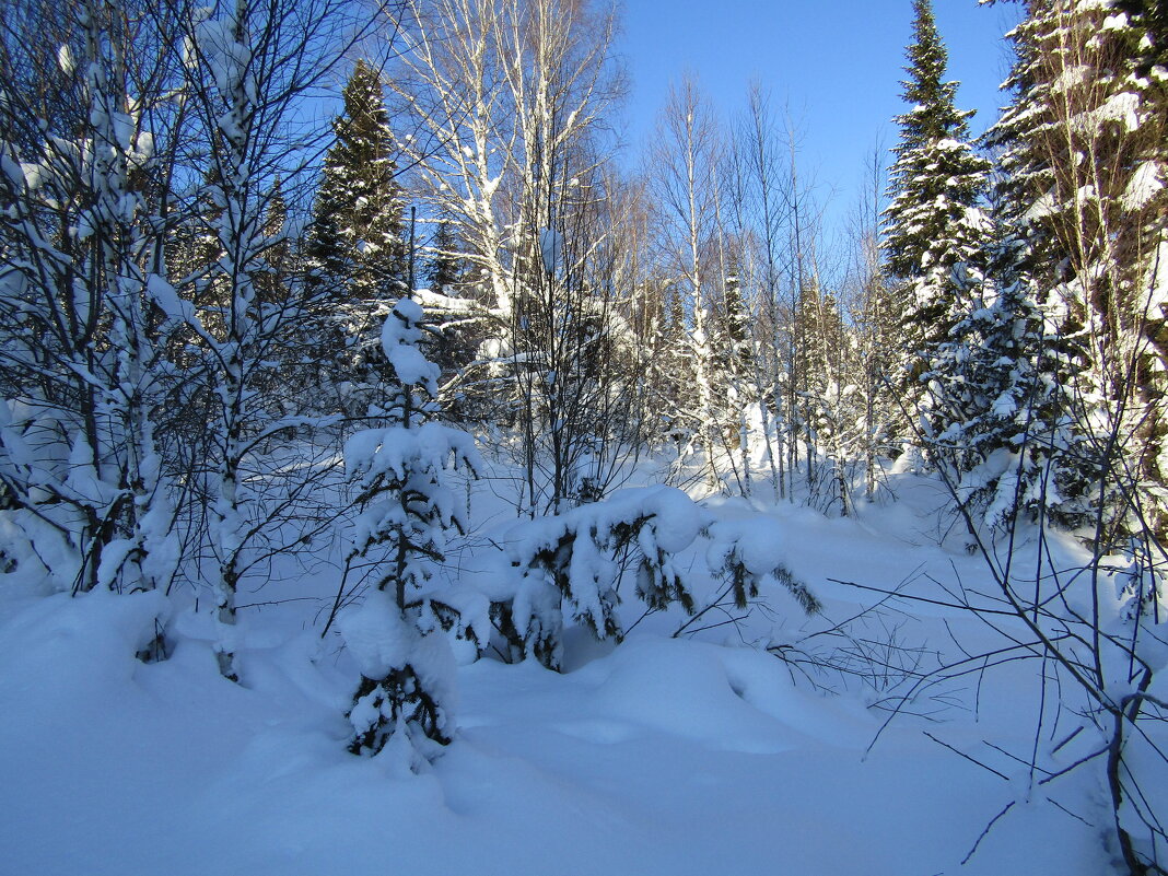 Зима - Galaelina ***