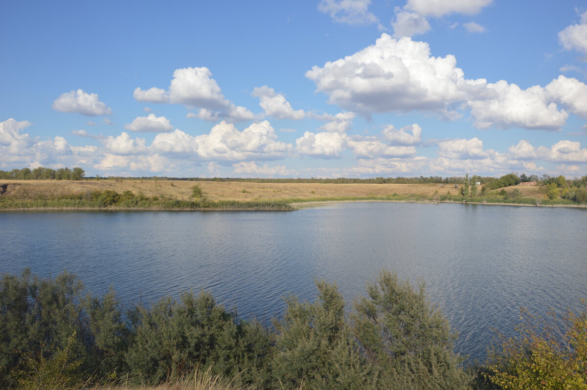 Пруд. - Виктор 