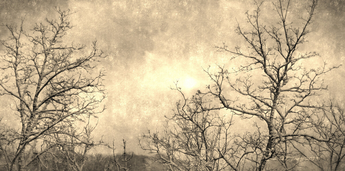 Зимнее солнце - Liudmila LLF
