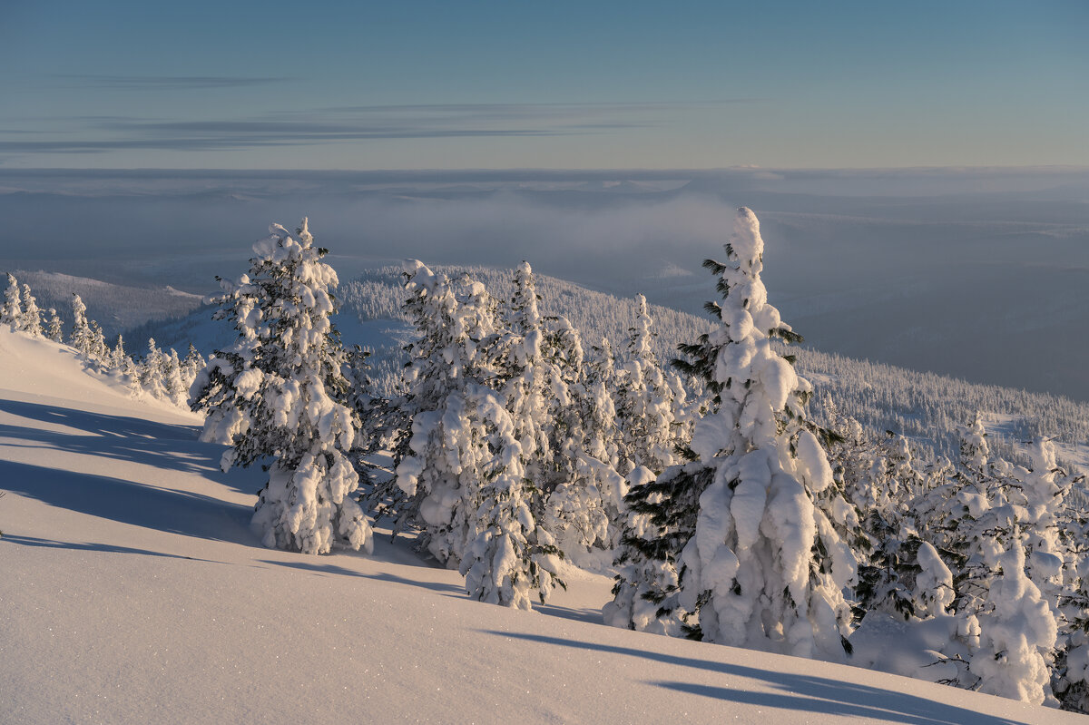 * - Александр Иванов * - Александр Иванов