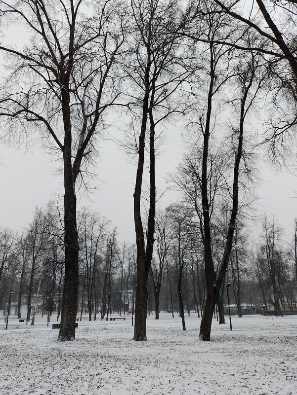 *** - Валентина Береснева