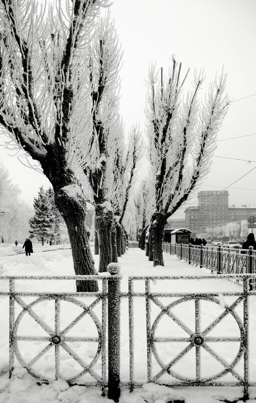 Иней - Наталья Герасимова Иней - Наталья Герасимова