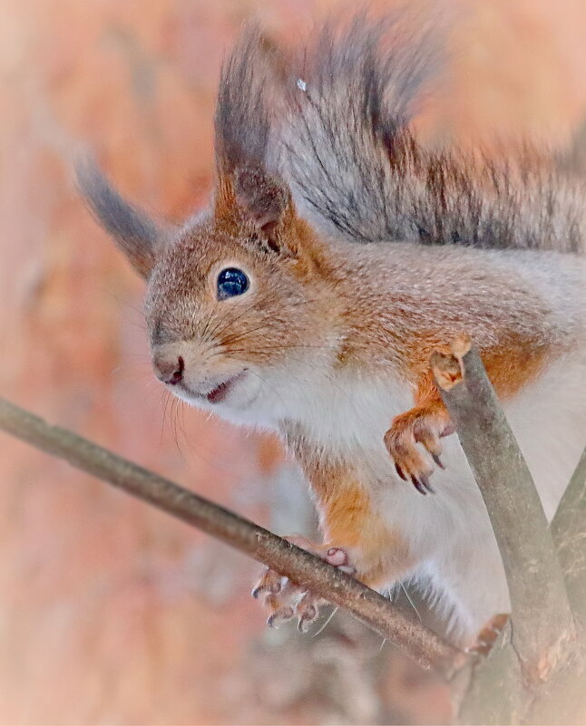 кто там ? - Andrey Bragin 