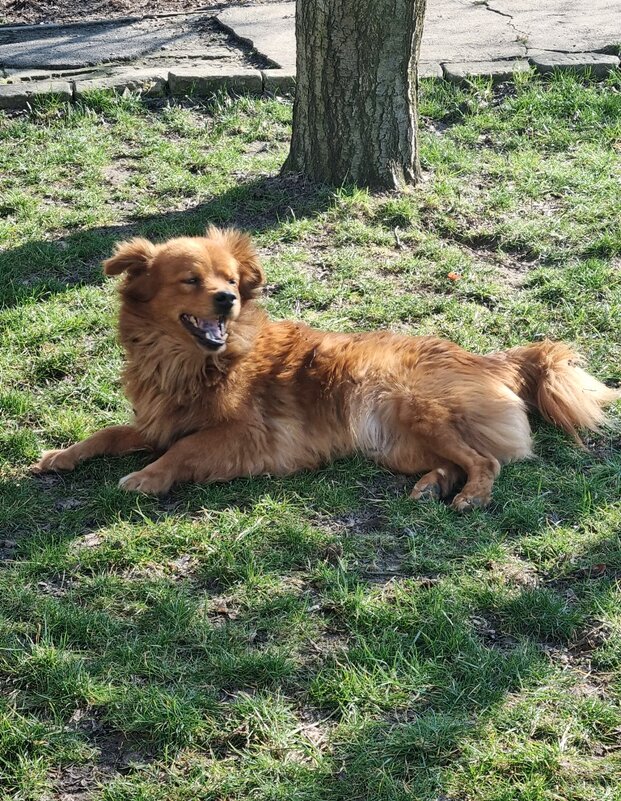 Солнечный февральский денёк - Наталья Солнечный февральский денёк - Наталья