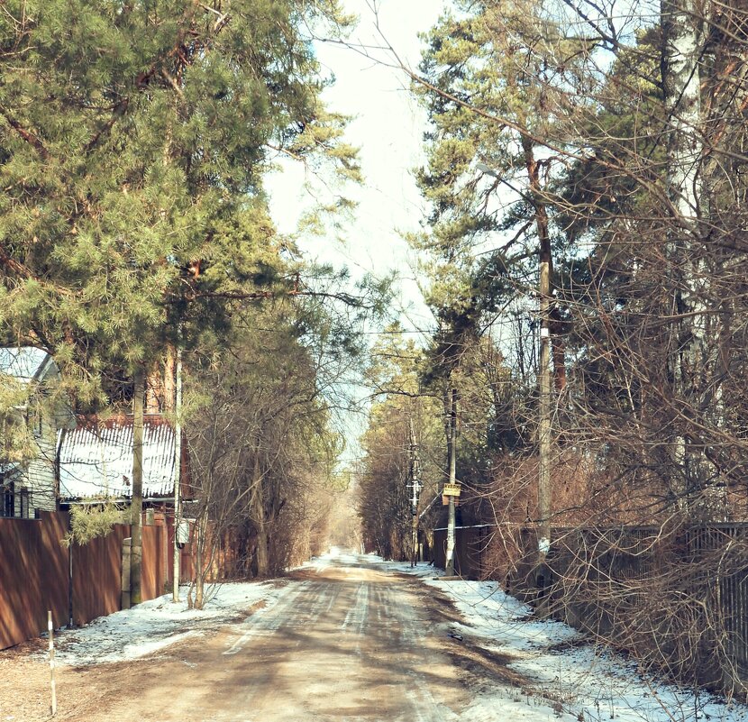 Загорянка. Зима - Леонид leo