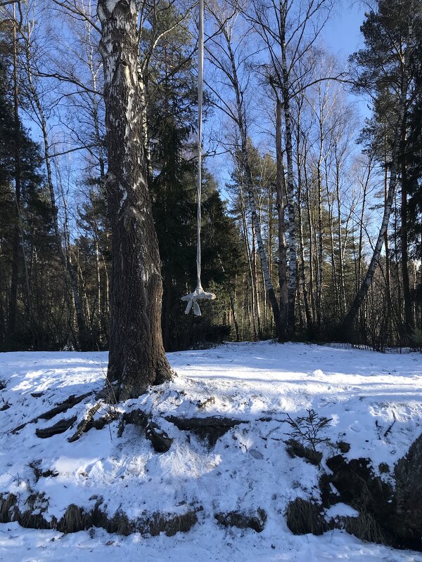 Ждёт лета… - Любовь Ждёт лета… - Любовь