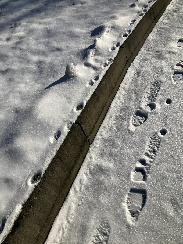 Одной дорогой… - Любовь 