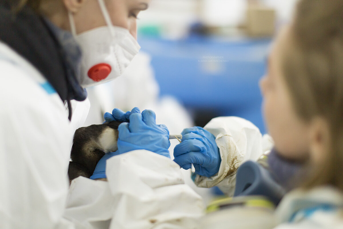 чс - Albina Lukyanchenko