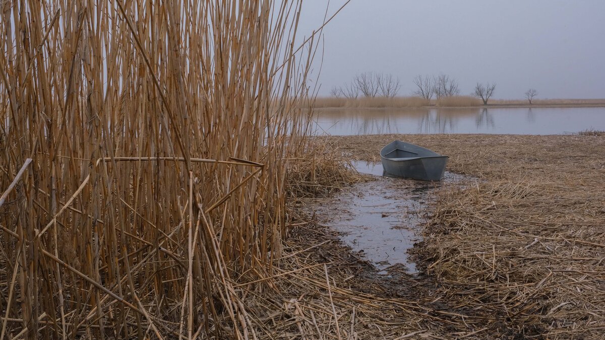 На Дону - Инесса Кан