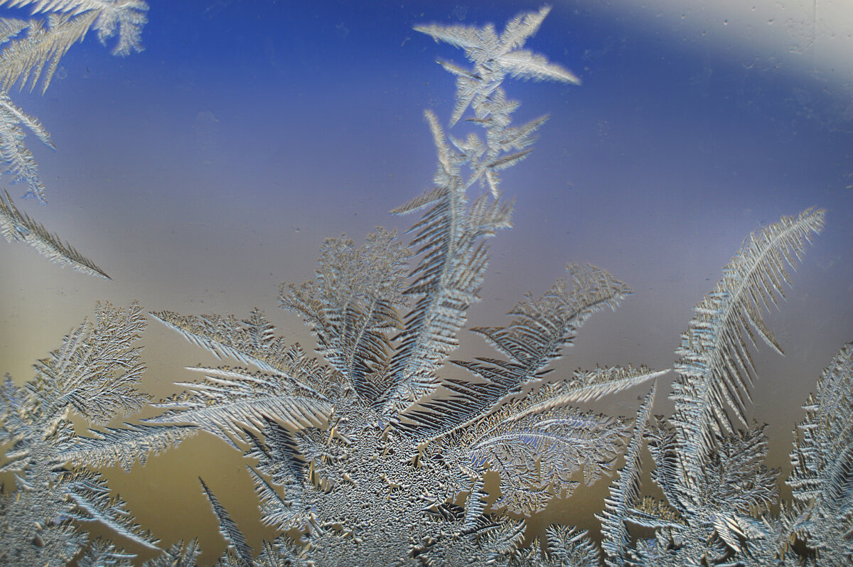 *** - Надежда Куркина