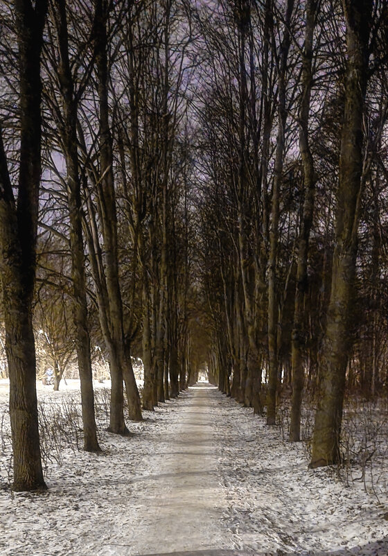 Вечерний парк... - Александр Попович Вечерний парк... - Александр Попович